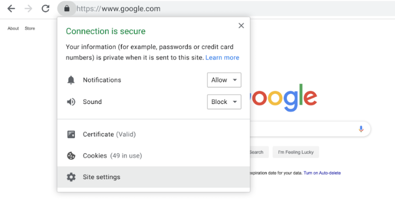 Google Connection Security Checking